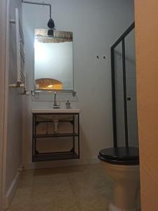 bagno con servizi igienici e lavandino con specchio di Merkezi Konforlu ve Şık Daire a Istanbul
