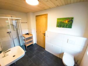 a bathroom with a sink and a toilet and a mirror at Barbilihof in Raggal