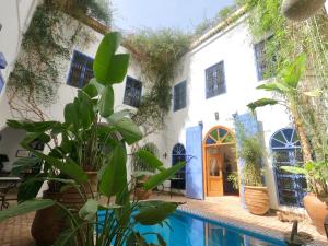 Πισίνα στο ή κοντά στο Riad Chameleon