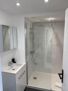 La salle de bains blanche est pourvue d'une douche et d'un lavabo. dans l'établissement NEW TOP DUPLEX CENTRE AVEC TERRASSE ET PARKING, à Clermont-Ferrand