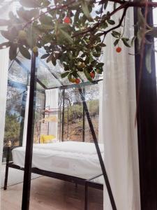 a bed in a greenhouse with a tree in it at Costa Vicentina Sky View in Rogil