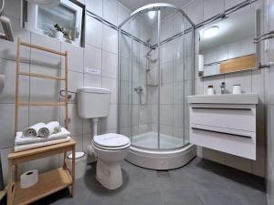 y baño blanco con aseo y ducha. en Apartments Pinta de Sol, en Čižići