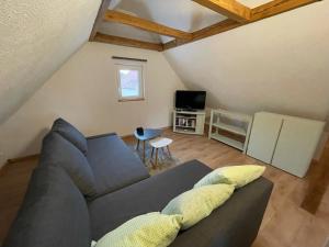 a living room with a couch and a tv at Haus am gelben Berg in Dittenheim