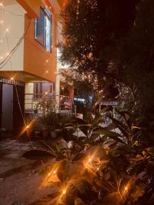 a garden with lights in front of a building at Comfort Family Homestay in Guwahati