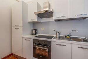A kitchen or kitchenette at Happy Lion Apartment Rome