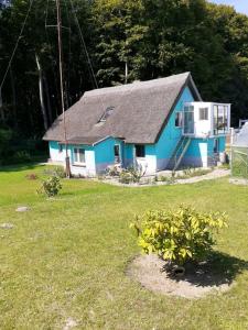 a blue house in a yard with a grass field at NEU! FeWo unter Reet am Wald auf Rügen in Lohme