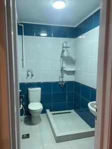 La salle de bains est pourvue de carrelage bleu, de toilettes et d'un lavabo. dans l'établissement Luxurious apartment in the heart of Cairo, Dokki, au Caire