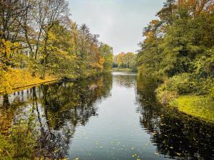 un río con árboles a su lado en ImmoStay #5 - City Ferienwohnung - WLAN & Netflix - Zentrum Bremen, en Bremen