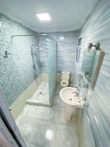 a bathroom with a shower and a toilet and a sink at Oscar pyramids view in Cairo