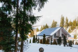 Hotel Vedmezhyi Dvir v zime
