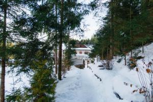 Hotel Vedmezhyi Dvir v zime