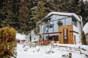 Hotel Vedmezhyi Dvir v zime
