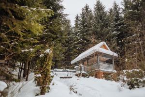 Hotel Vedmezhyi Dvir v zime