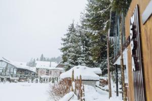 Hotel Vedmezhyi Dvir v zime