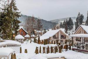 Hotel Vedmezhyi Dvir v zime