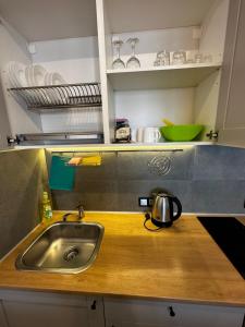 uma cozinha com um lavatório e uma panela no balcão em Panorama 44 em Odessa