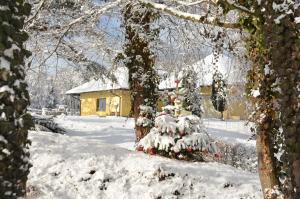 APARTMENT KLAGENFURT Landhaus Wulfenia - with Free Parking, Sauna, Smart-TV and Air Conditioning semasa musim sejuk