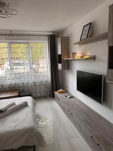 a bedroom with a bed and a flat screen tv at Cozy and quiet apartment in Arad