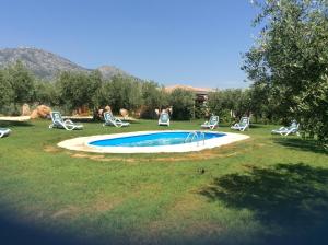 La alberca dentro o cerca de Residenze Gli Ulivi