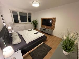 Schlafzimmer mit einem Bett und einem Flachbild-TV in der Unterkunft Modernes Apartment/Nähe Zentrum in Magdeburg