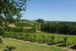Gallery image of Le Rocal in Pomport