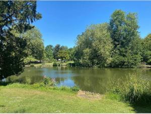 a large lake with trees and grass in front of it at Dorset Lodge Flat 3 in Gloucestershire