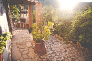 a garden with a pot with a plant in it at CORTIJO COLOMO in Almedinilla