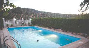 a large blue swimming pool next to a hedge at CORTIJO COLOMO in Almedinilla