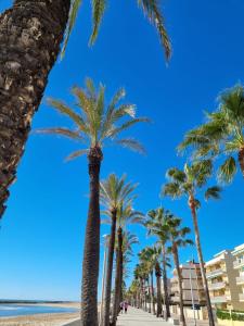uma linha de palmeiras na praia em Casa Oso em Vilanova i la Geltrú