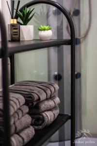 une pile de serviettes sur une étagère dans une salle de bains dans l'établissement Jaukus poilsis, à Mažonai