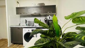 a kitchen with a sink and a washing machine at Le Grand Noble -Tram-Parking-Wifi in Blagnac