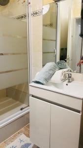a bathroom with a sink and a shower at Le Grand Noble -Tram-Parking-Wifi in Blagnac
