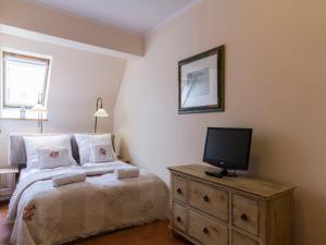 um quarto com uma cama e uma televisão numa cómoda em udanypobyt Apartamenty Orkana Park Centrum em Zakopane