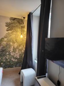 um quarto com uma cortina e um quadro na parede em Ainay/centre Lyon/un cocon ! em Lyon