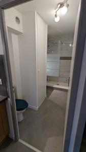 La salle de bains est pourvue de toilettes, d'un lavabo et d'une douche. dans l'établissement Studio Parc Carrières Bacquin à 5 minutes de la gare, à Dijon