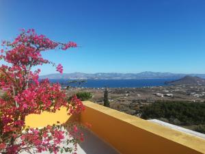 a view of the ocean from a balcony with flowers at Bralos Villa - Paros, Sea View in Kóstos