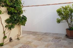 a room with two potted trees next to a wall at Le Patio in Saintes-Maries-de-la-Mer +4 photos
