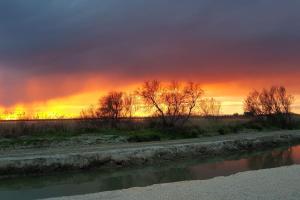 a sunset over a river with trees in the background at Le Patio in Saintes-Maries-de-la-Mer
