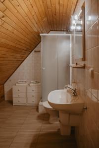 a bathroom with a sink and a toilet at Willa U Jerzego in Karpacz