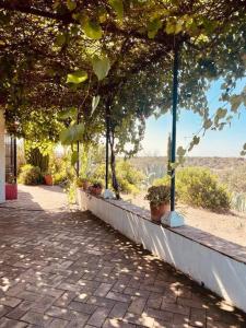 a sidewalk with trees and potted plants on it at Villa Lavanda by Época Suites in El Castillo de las Guardas