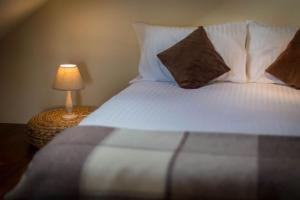 a bedroom with a bed with a lamp on a table at Melin-Byrdir in Dyffryn