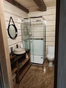 La salle de bains est pourvue d'une douche en verre et de toilettes. dans l'établissement Jaukus poilsis, à Mažonai