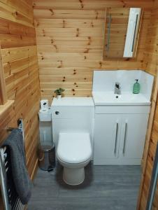 a bathroom with a toilet and a sink at Aurora Skye in Breakish