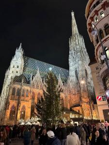 Un gruppo di persone che si trovano di fronte a un edificio con un albero di Natale. di House near to Schönbrunn - Free Parking - 24-7 Check in - 8 Person a Vienna