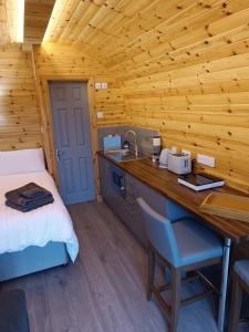 a bedroom with a bed and a desk in a cabin at Aurora Skye in Breakish