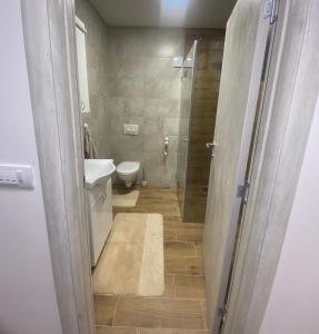 La salle de bains est pourvue d'une douche, de toilettes et d'un lavabo. dans l'établissement Apartman Harmonija, à Inđija