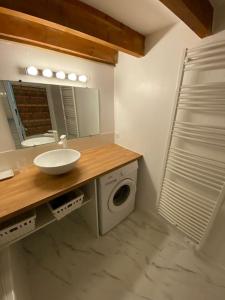 uma casa de banho com um lavatório e uma máquina de lavar roupa em La Flânerie Centre Historique em Clermont-Ferrand