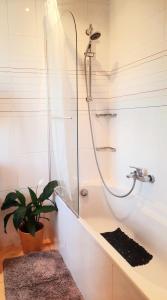a bathroom with a shower and a potted plant at Le Panorama in Saint-Julien-en-Genevois