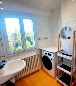 a small bathroom with a sink and a washing machine at Le Panorama in Saint-Julien-en-Genevois