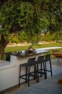 a bar with two chairs and a table under a tree at Villa Olivo Maroni in Maroni